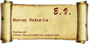 Boros Veturia névjegykártya